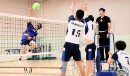 排球比赛视频,精彩瞬间回顾